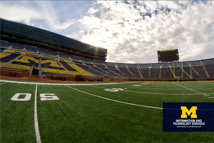 Michigan Stadium Field
