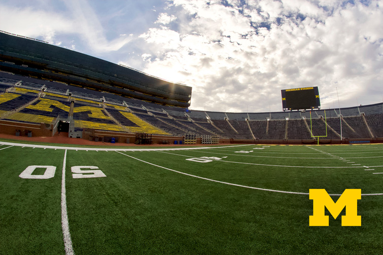 Michigan Stadium Field