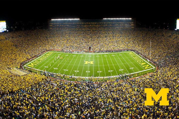 Michigan Stadium Crowd