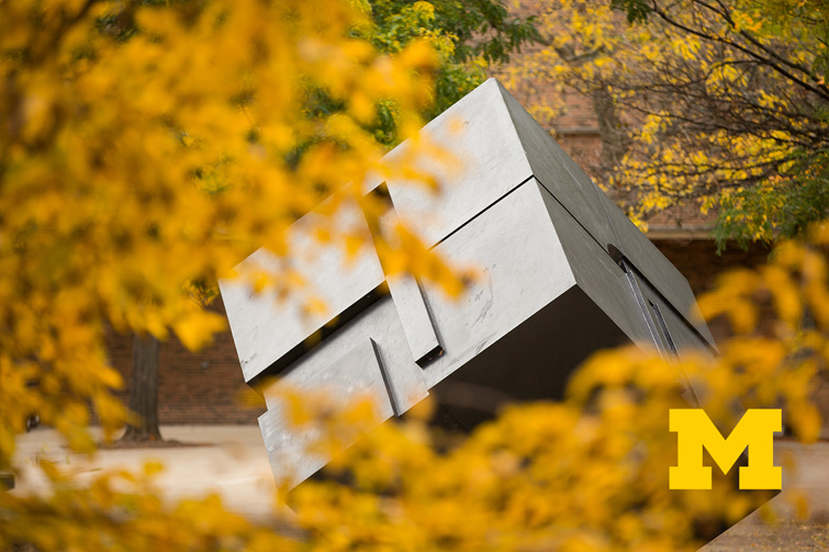 The Cube in Fall