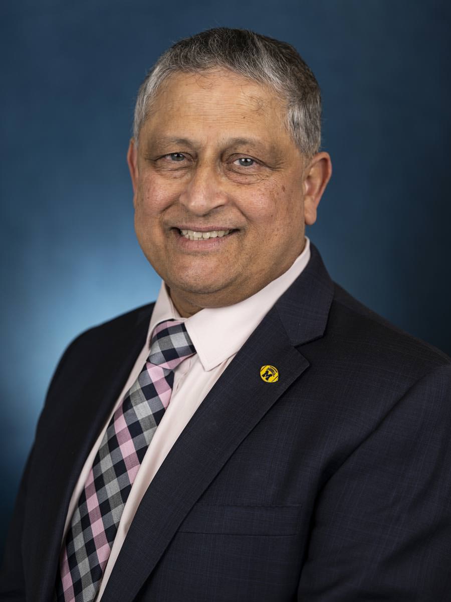 Ravi Pendse, Ph.D.